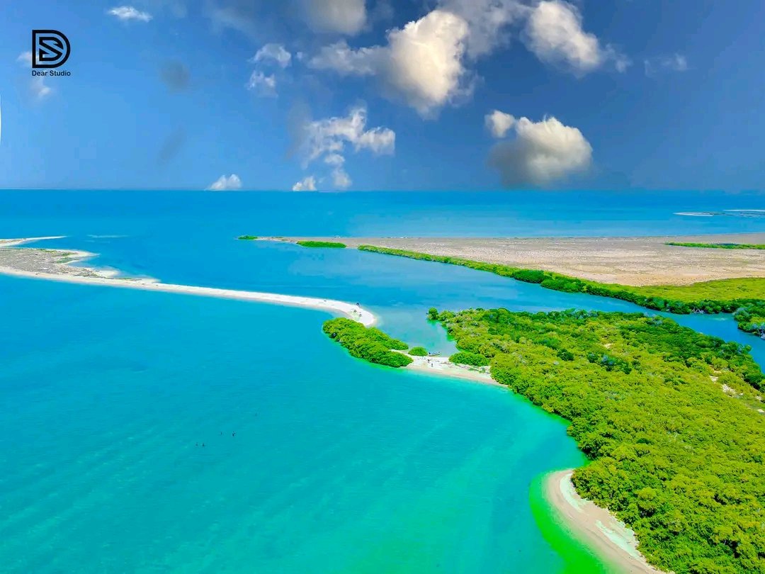 Mustafa Faisal Shide tweet media