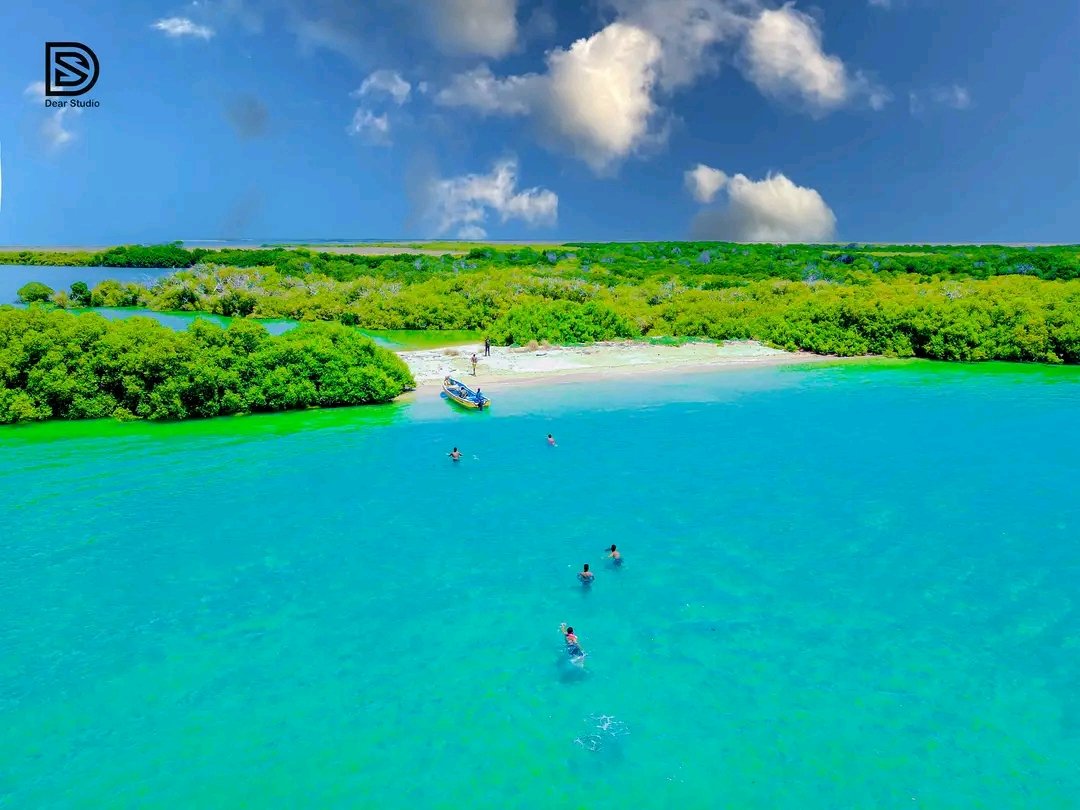 Mustafa Faisal Shide tweet media