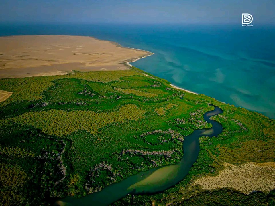 Mustafa Faisal Shide tweet media