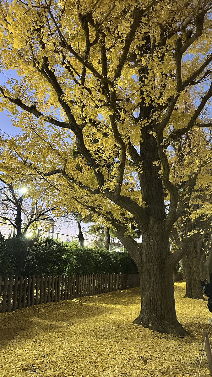 Rama Dewa tweet media