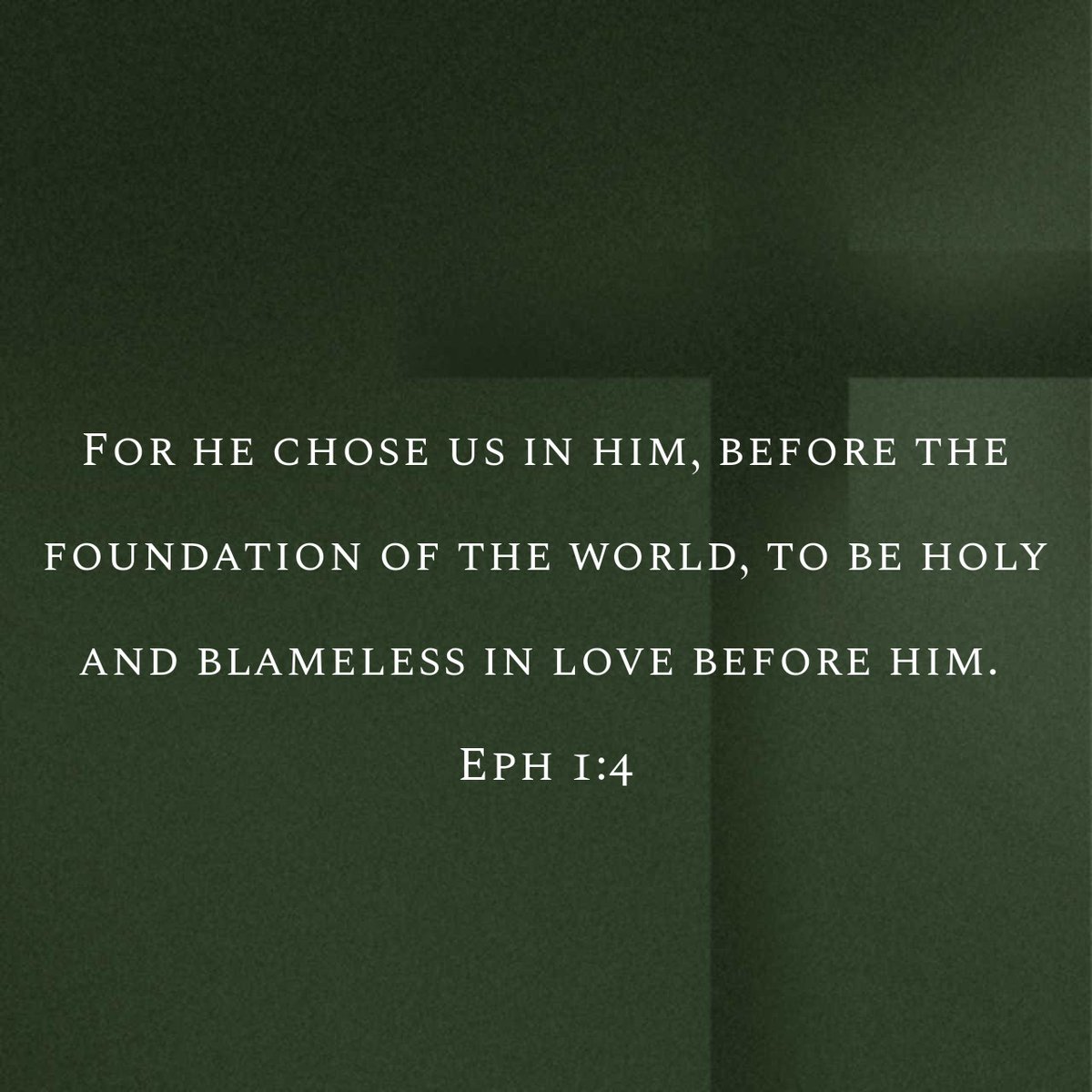 Frank Bravo tweet media