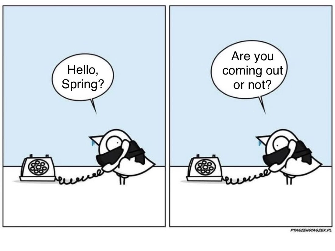 Scott Verity tweet media