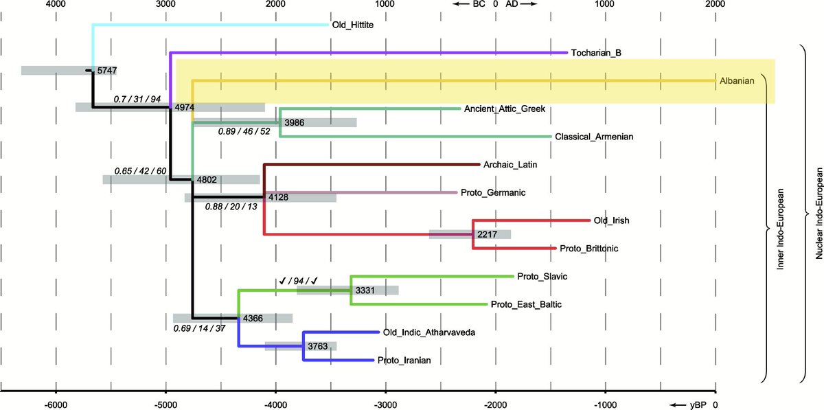 Albano 🇦🇱 Polis tweet media