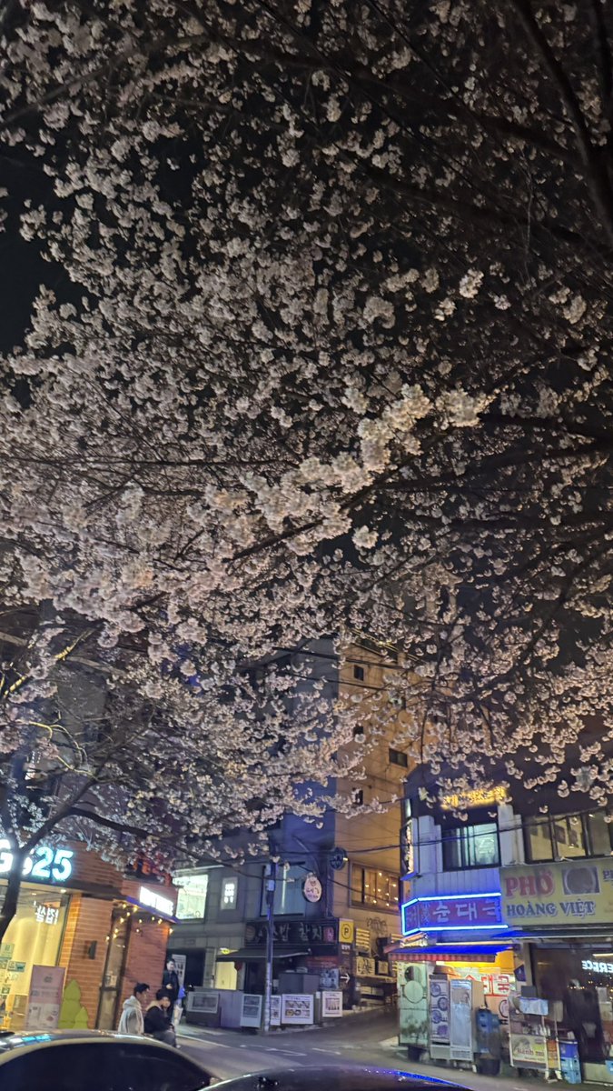 생각이읍습니다 tweet media