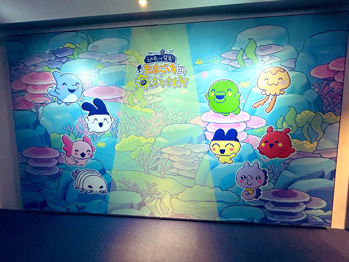 ぱっち tweet media