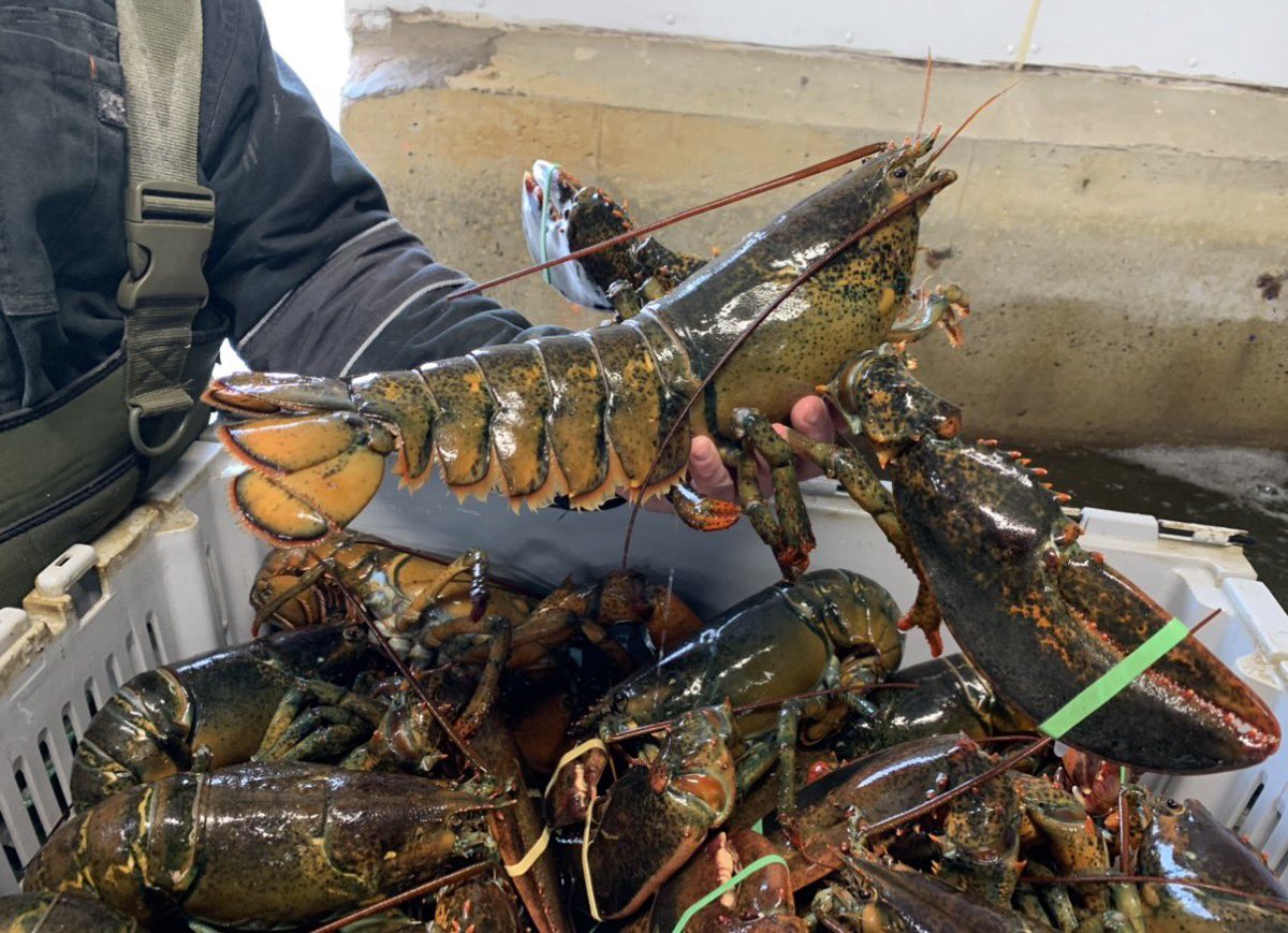 Atlantic Canada Seafood Group tweet media