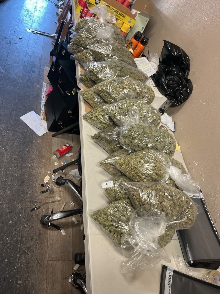 lorddave763's tweet photo. "Don’t sleep on DFW drop! 🔥 Purple Haze & gas heavy in Dallas 214, Plano, Frisco, McKinney, Allen, Richardson, Denton, Lewisville, The Colony ⛽️ Bulk Purple Haze, discreet. DM "GAS TX" now 💨 #TXWeed #DallasWeed #214Weed #TexasWeed #PurpleHaze #PurpleHazeTX #TXPlug #817Weed https://t.co/Dn9tn1LtbV