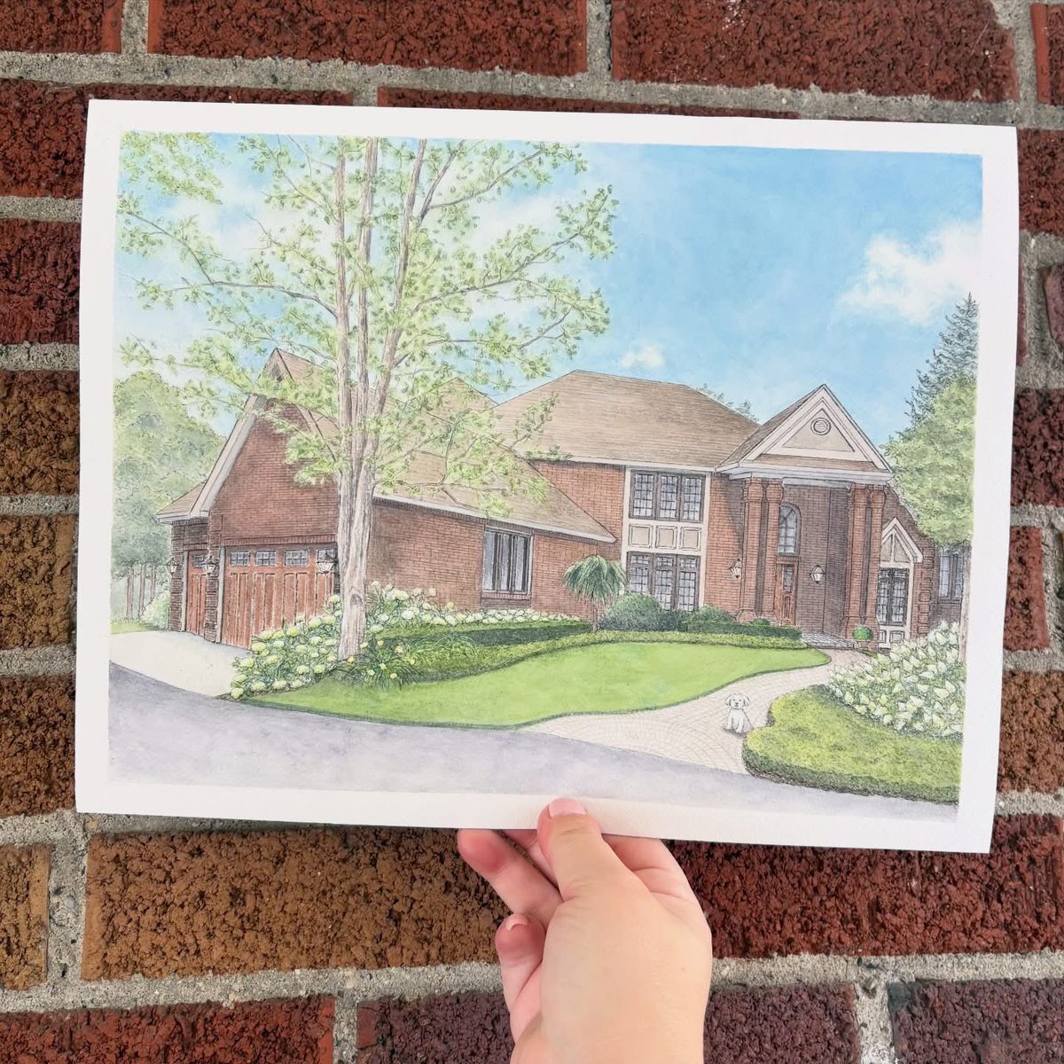 Jennifer Baghdoian tweet media