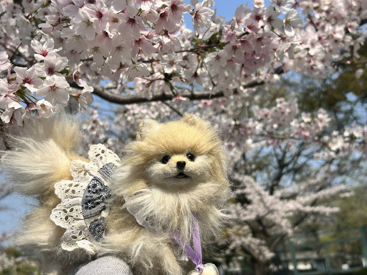 ちぇこ＠5/6（水）クリエイターズマーケットD234 tweet media