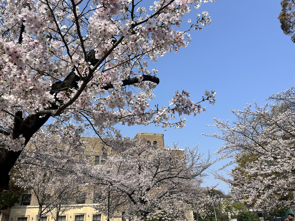 ちぇこ＠5/6（水）クリエイターズマーケットD234 tweet media