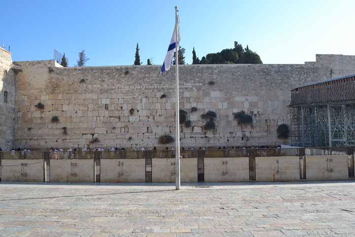 BlancaDios2's tweet photo. Por primera vez en siglos se cancela la misa de Ramos en Jerusalén
La guerra rompe el statu Quo en la ciudad santa
Tristeza infinita
#BastaDeGuerras
#Paz https://t.co/IRLt2jrGz4