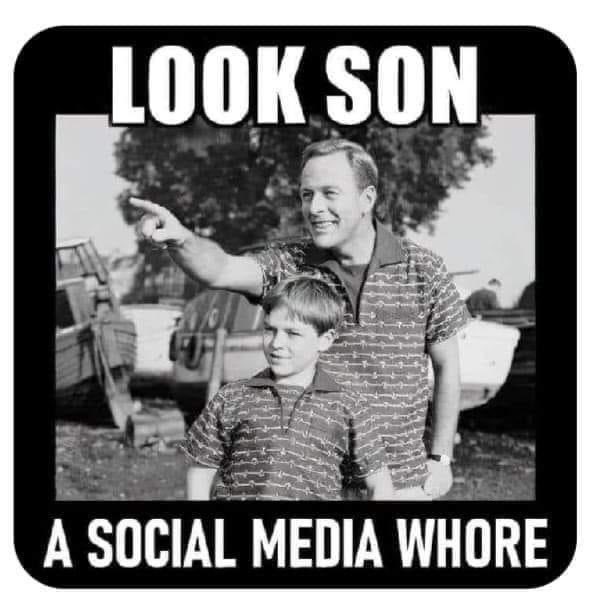 distroia tweet media