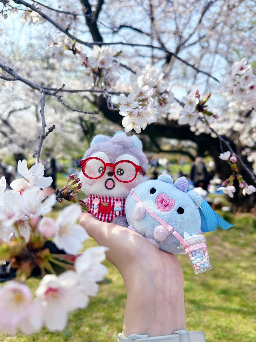 𝖧𝗈𝗉𝖾𝖽𝗈𝗆🩷𝖸𝖮𝖴𝖱,𝖬𝖸 𝖧𝖮𝖯𝖤 tweet media