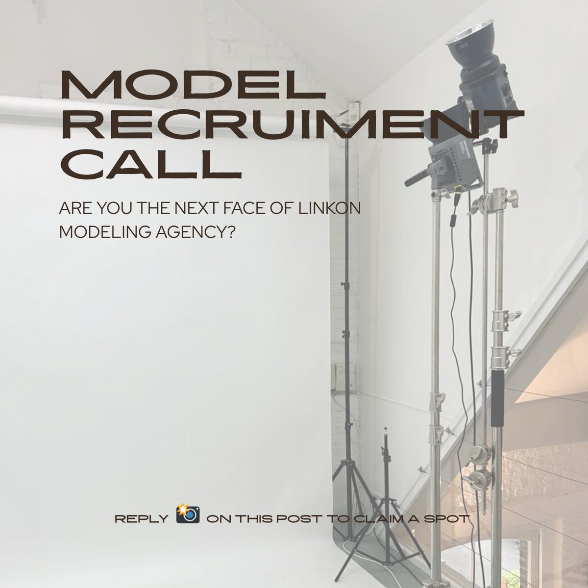 ᓚ₍⑅^..^₎♡⁺₊❆⋆ tweet media