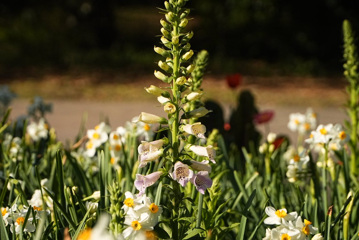 Jim O'Neil tweet media