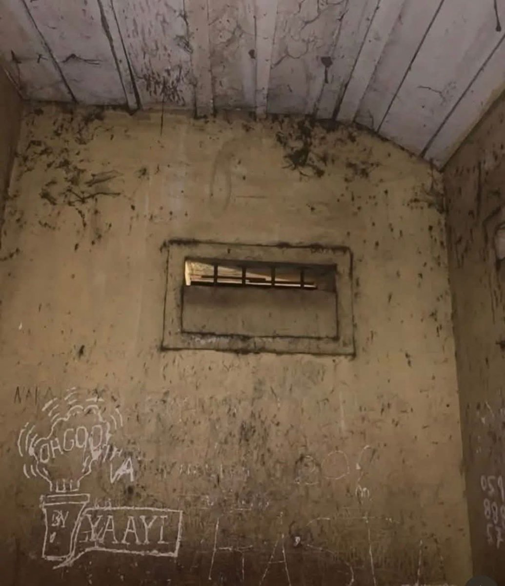 Human Rights Platform tweet media