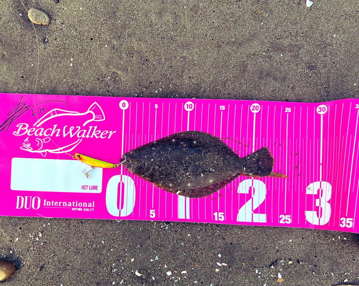 shun.mon tweet media