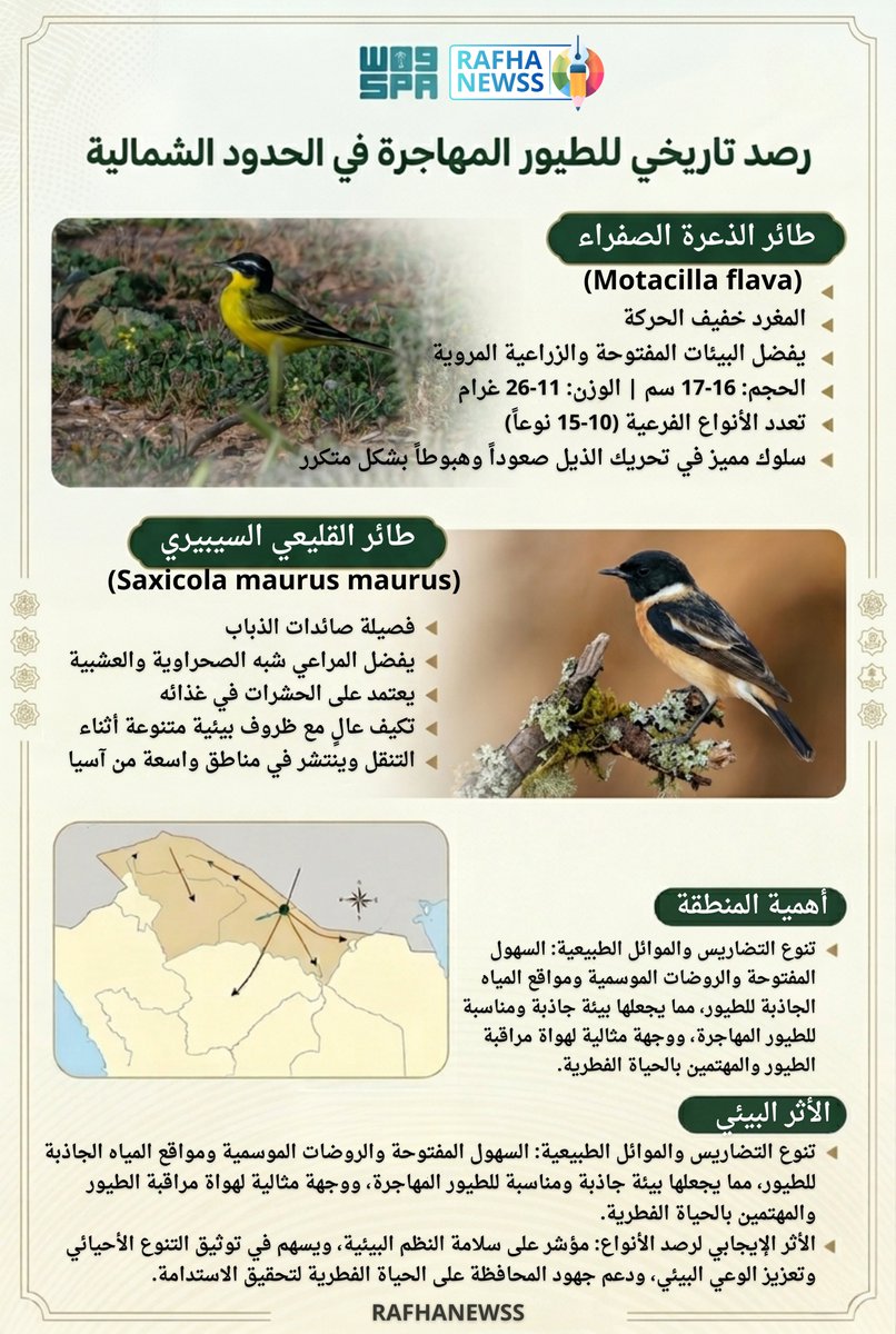 (AI) بيـبـلايـن tweet media