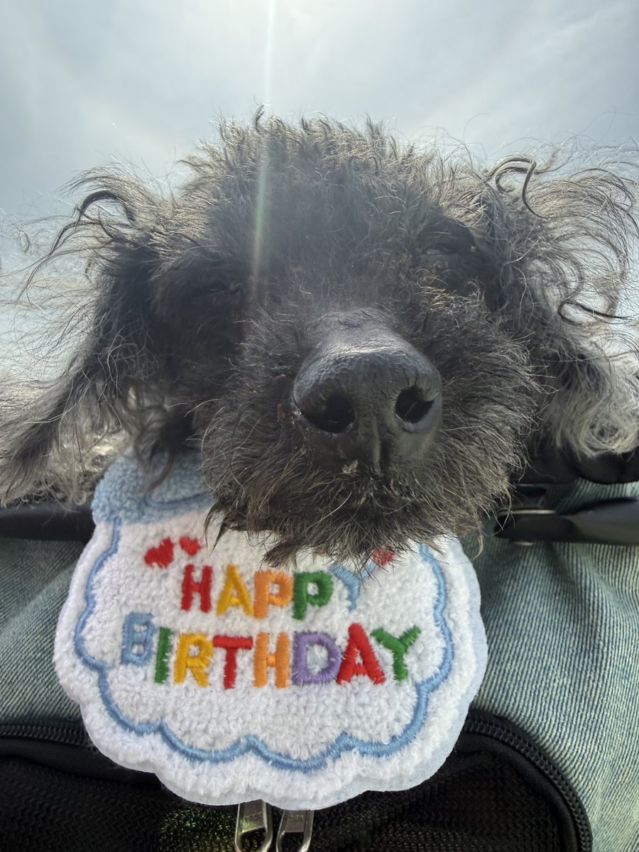 屋良学 tweet media