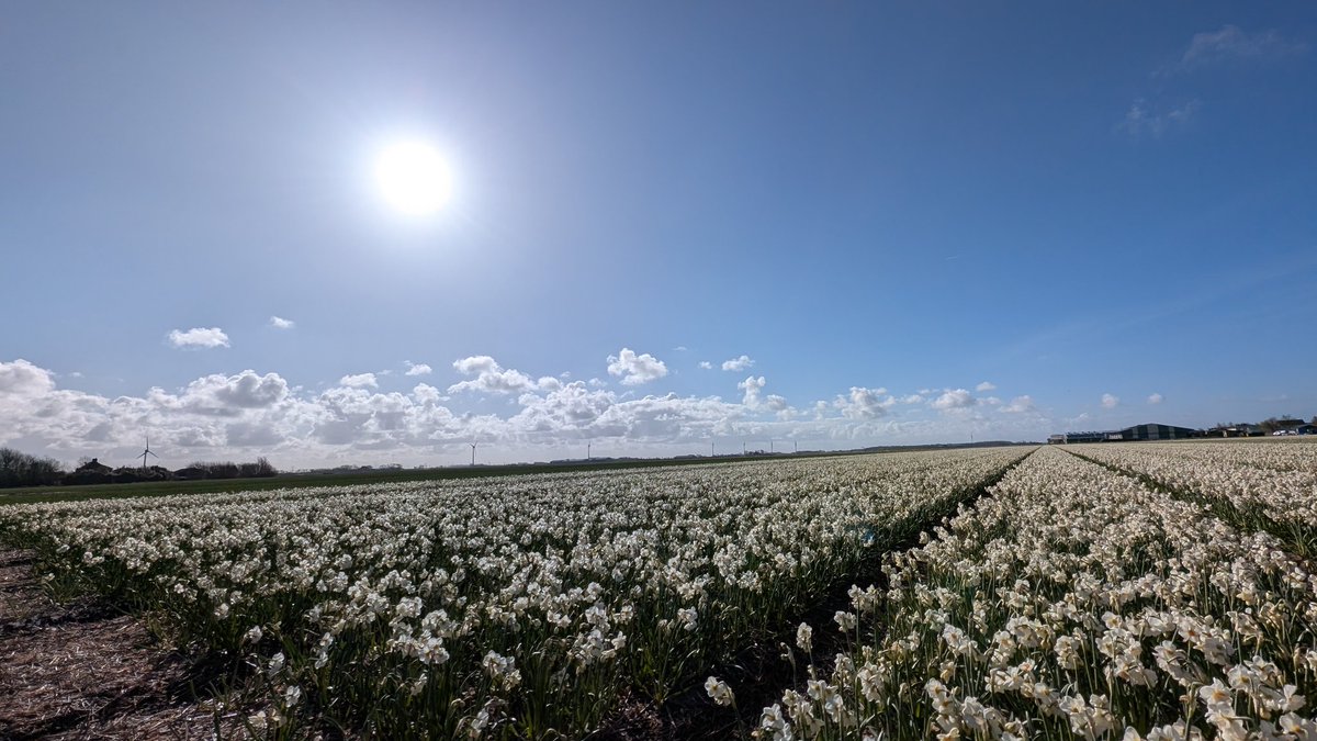 Ed v. Pelt tweet media