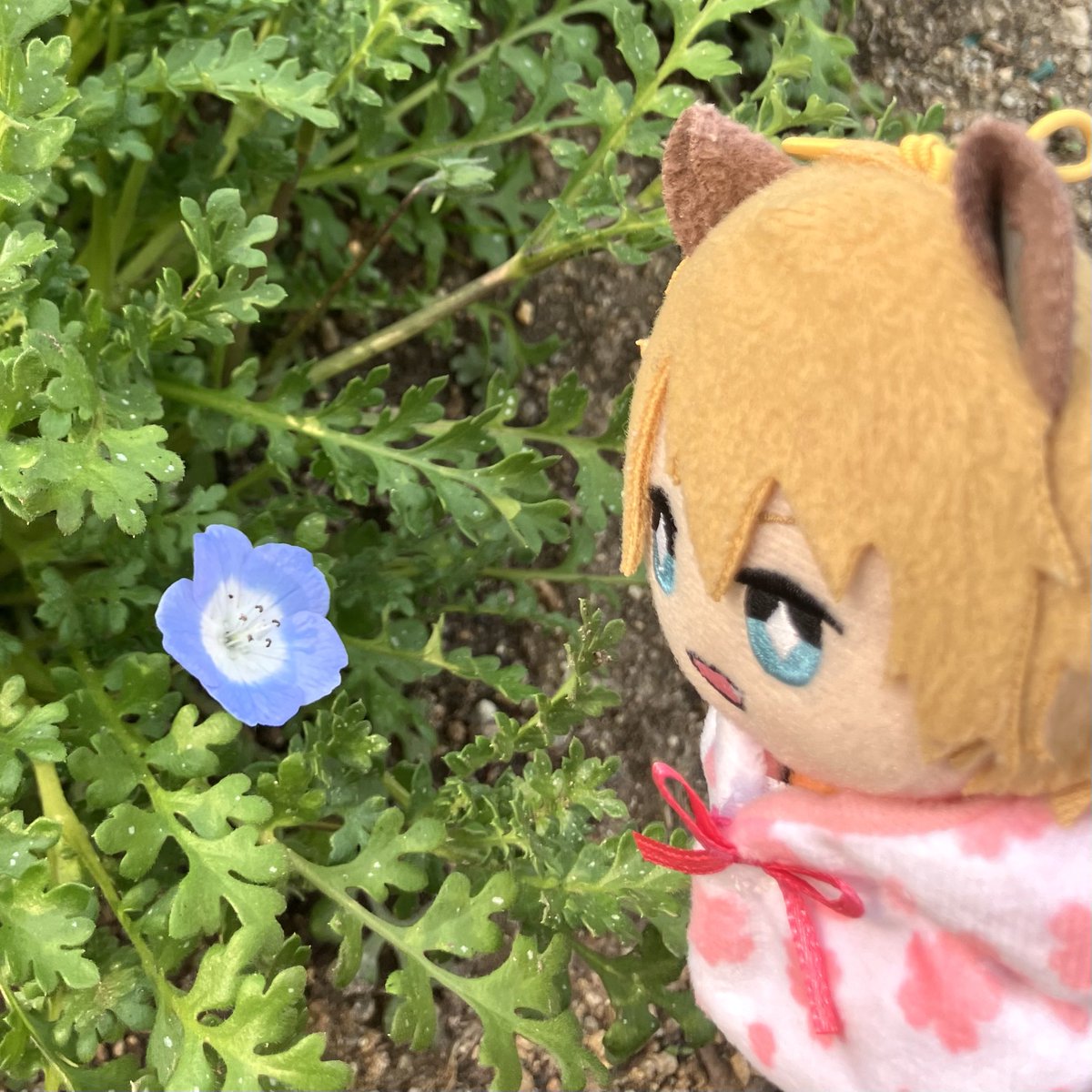 もじゃ氏 tweet media