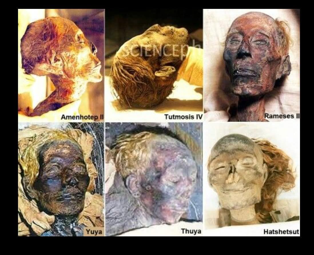 Africa Today Media Group tweet media