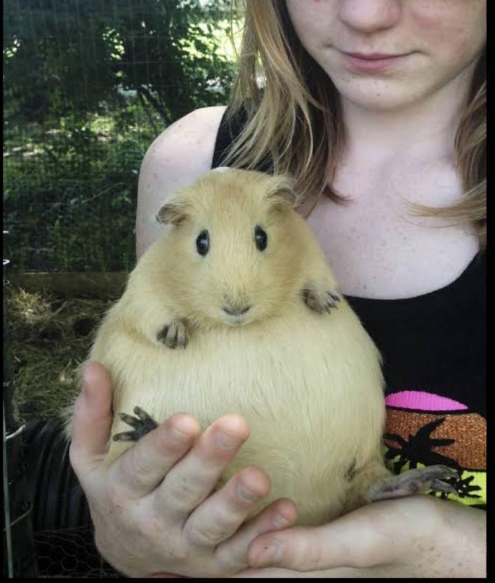 고등어K😷 tweet media