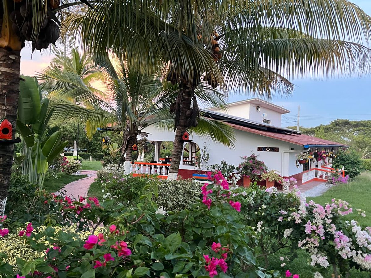 Mariela González tweet media