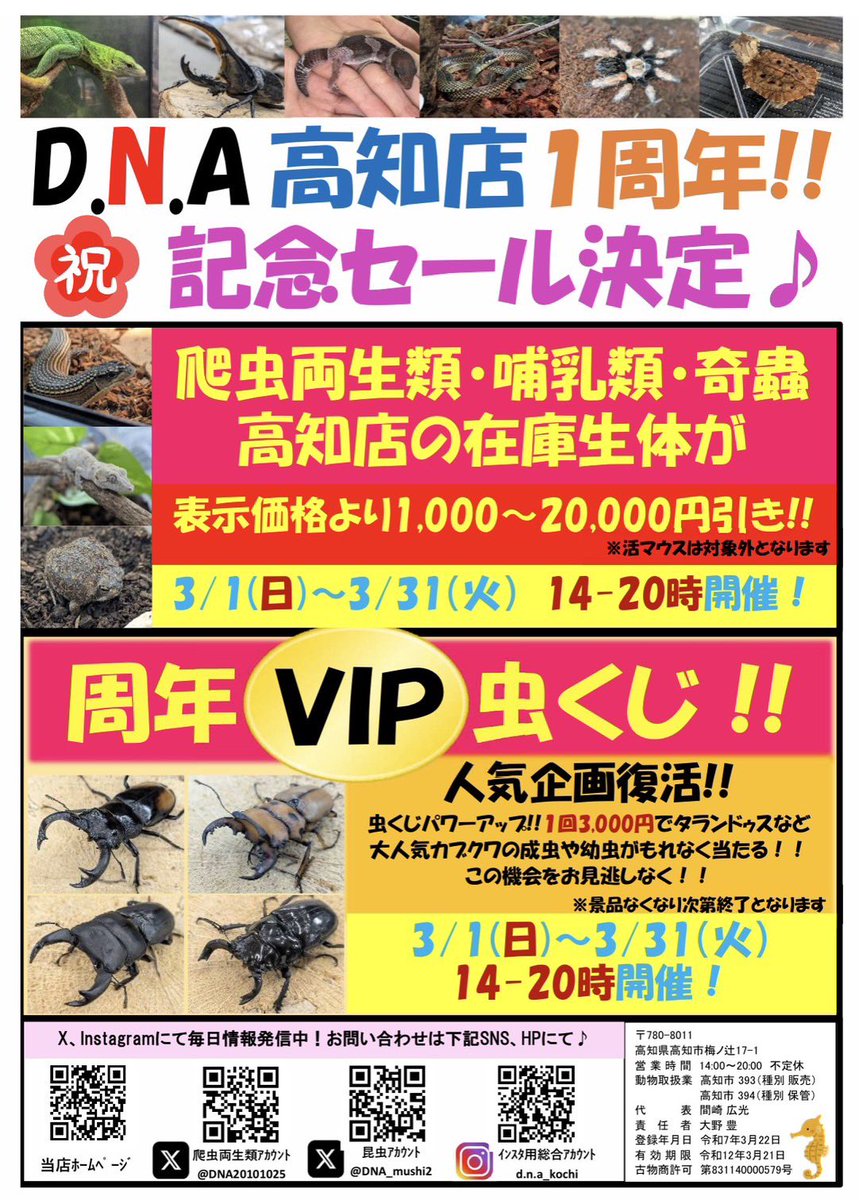 D.N.A高知店 tweet media