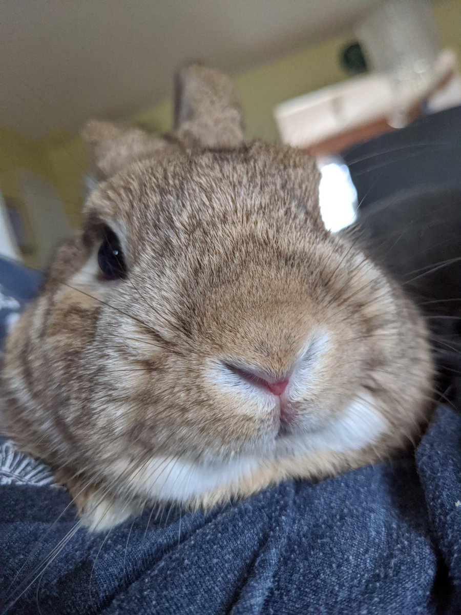 rocky.. 🍁 tweet media