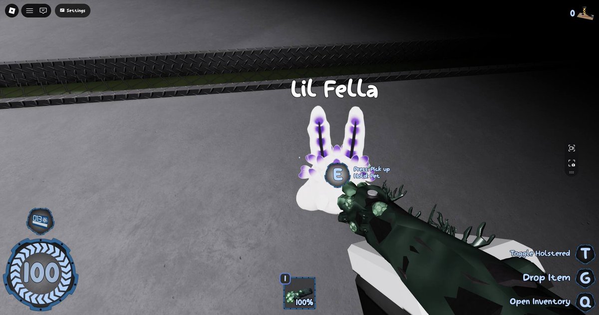 Aeshma_Reign tweet media