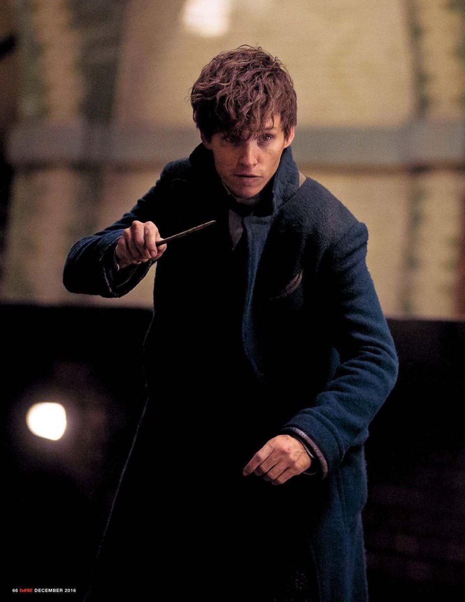 Thiego Novais tweet media