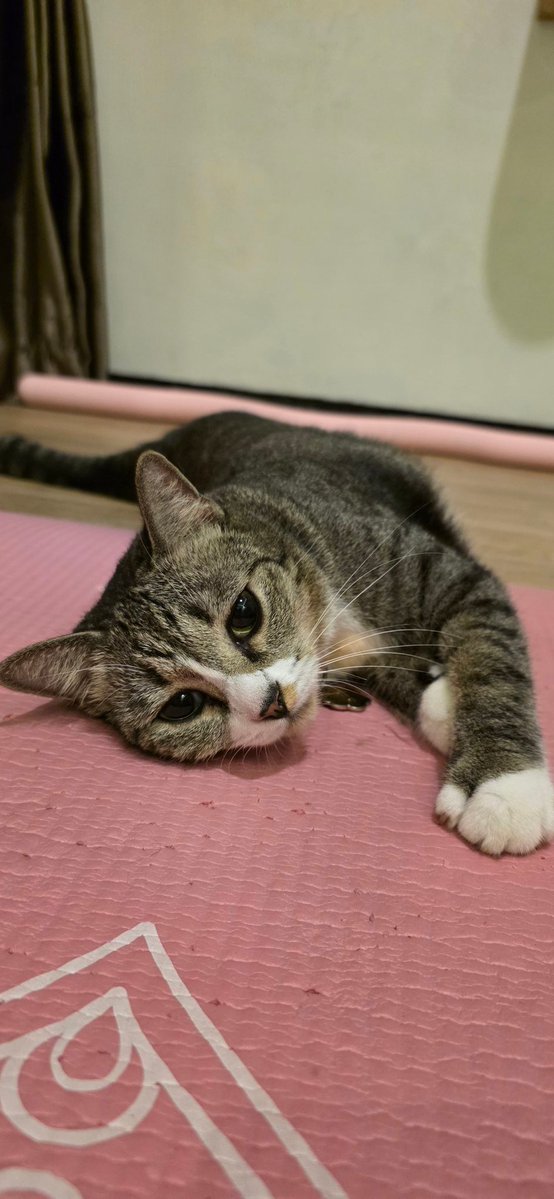 NINA - ꦤꦶꦤ tweet media