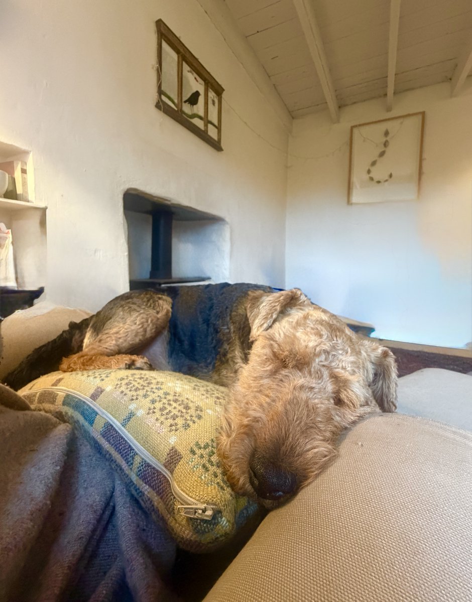 Liza Adamczewski or the accidental ecologist tweet media