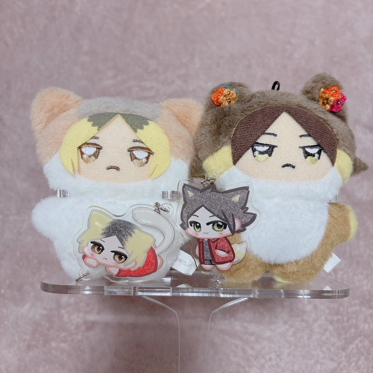 こゆまる🐈 tweet media