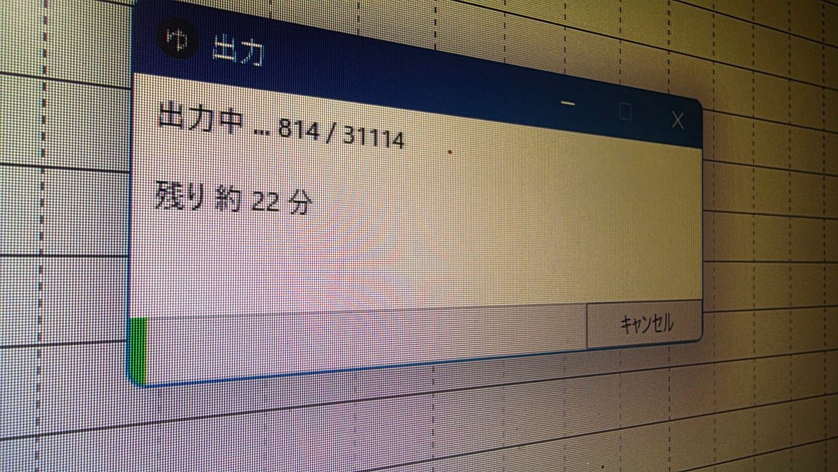 ハツユキソウ tweet media