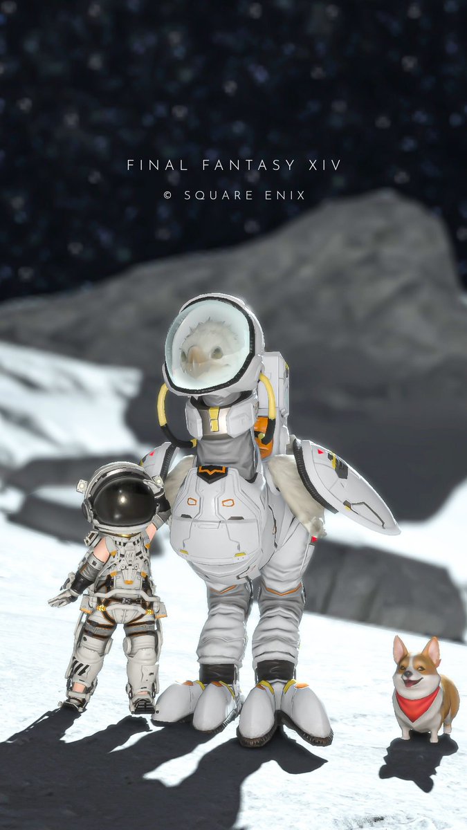 こլਕʓ🌸 tweet media