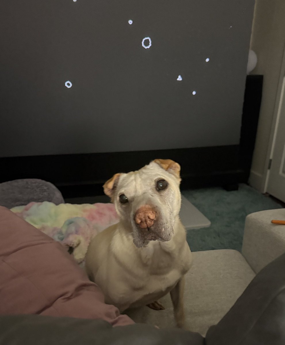 TracketPacer tweet media