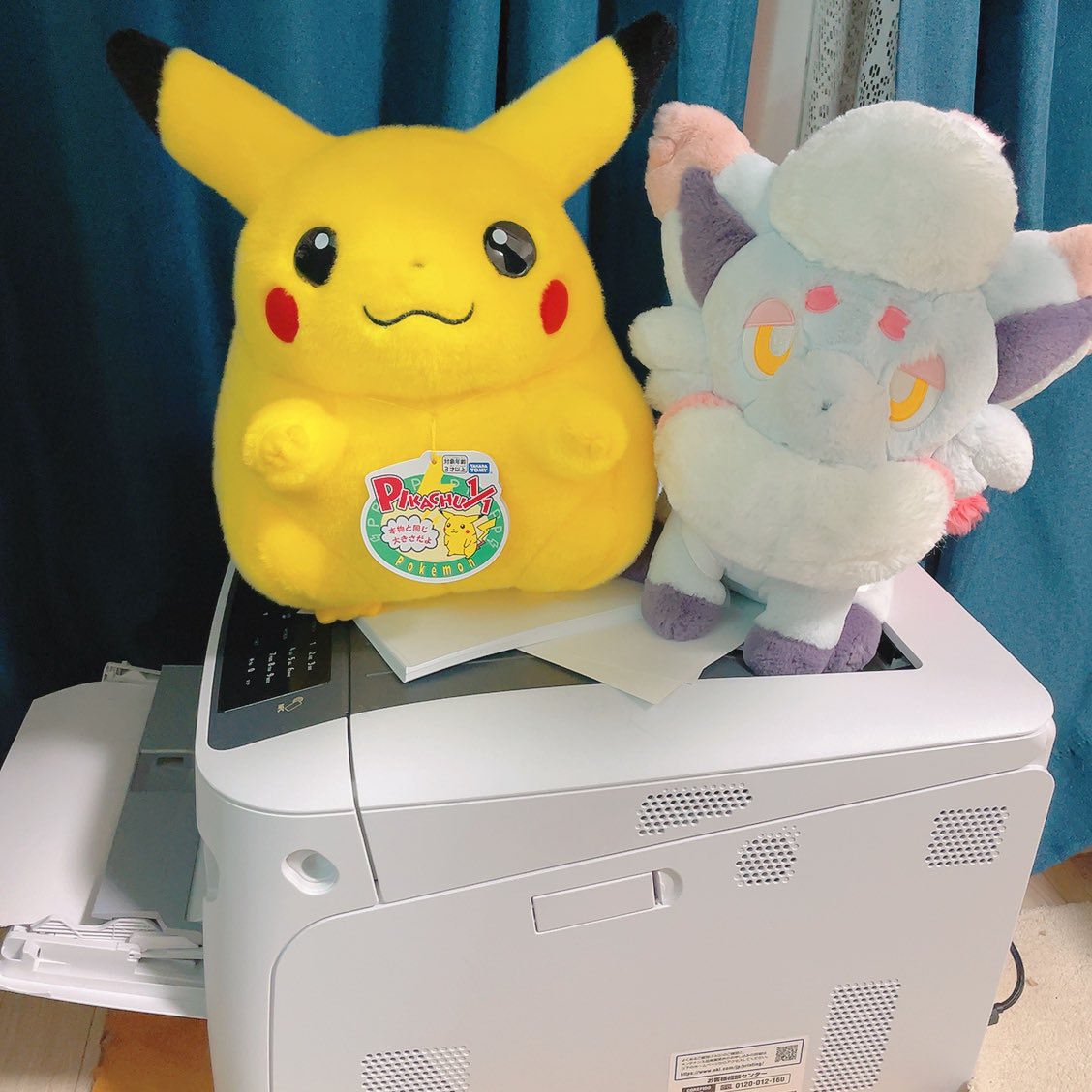 恭介@5/5スパコミ🐉 tweet media