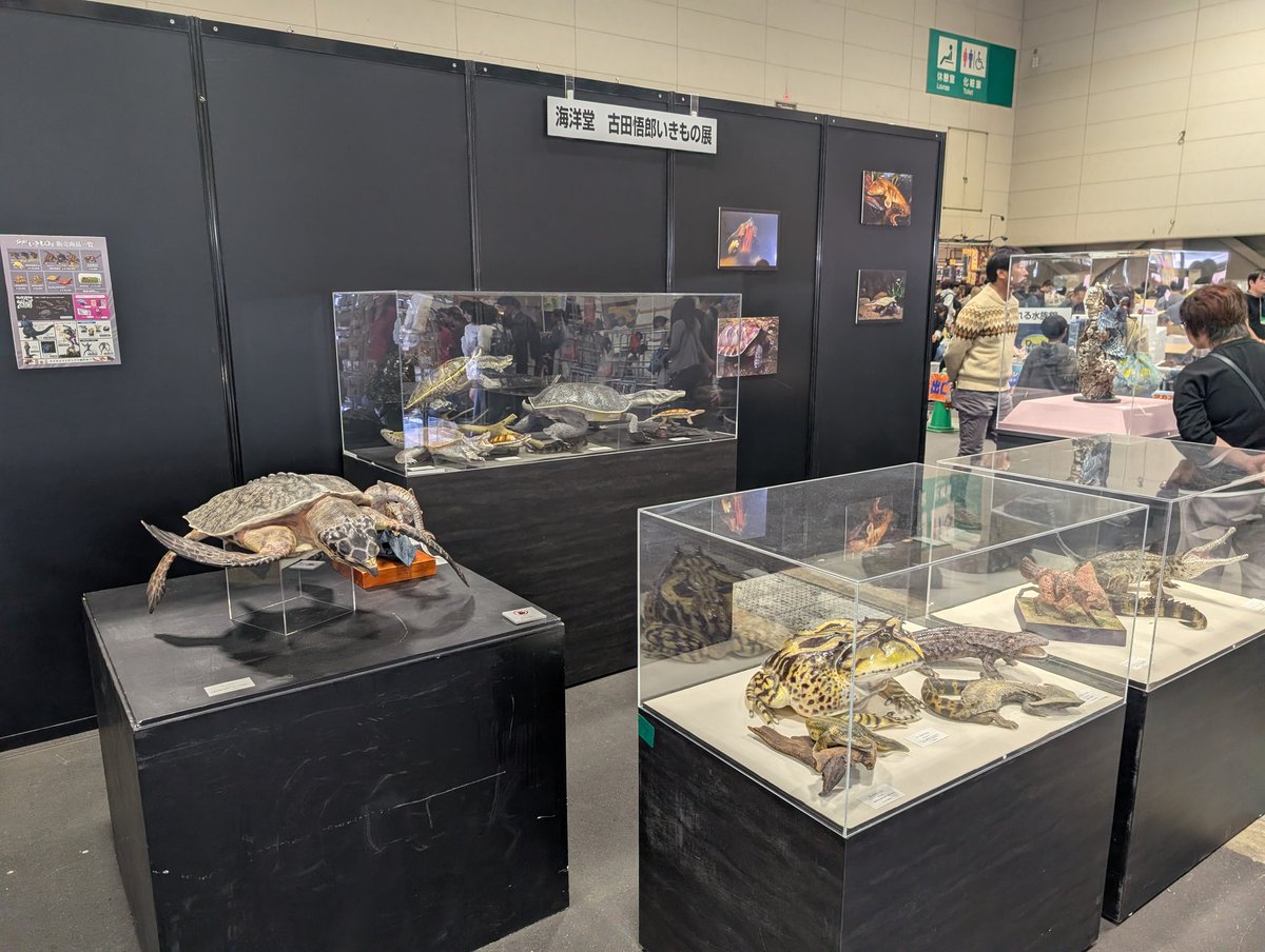 いっちー@ﾈｲﾁｬｰﾌｨｷﾞｭｱ tweet media