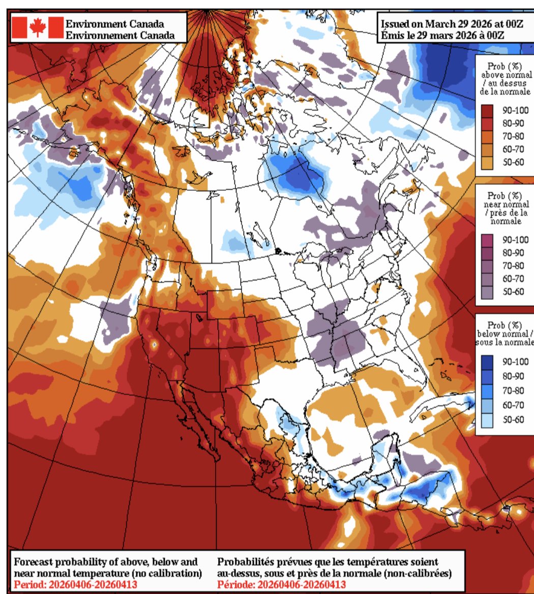 Suzanne Pothe 🇨🇦 tweet media