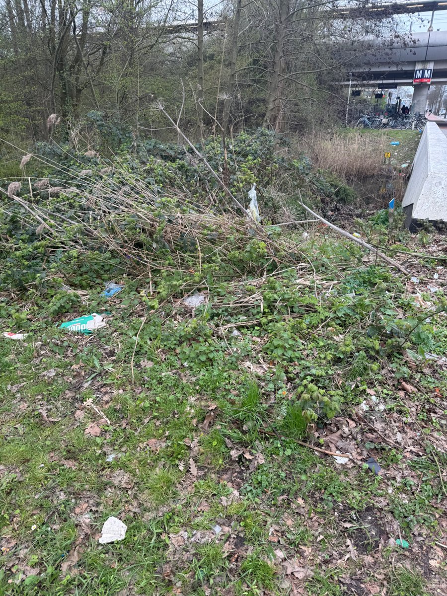 Arno Wellens tweet media