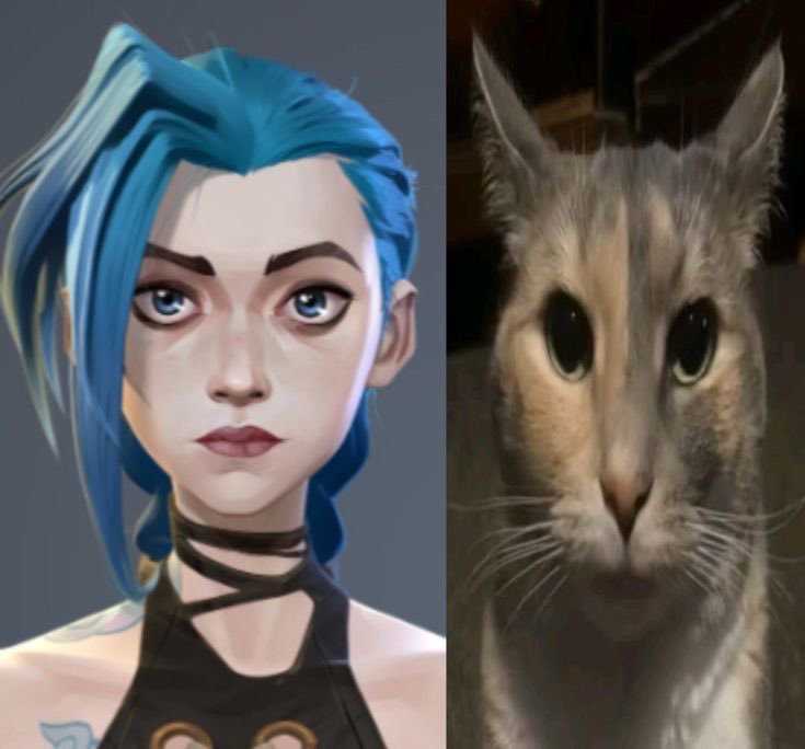 Mimi 🍀 tweet media