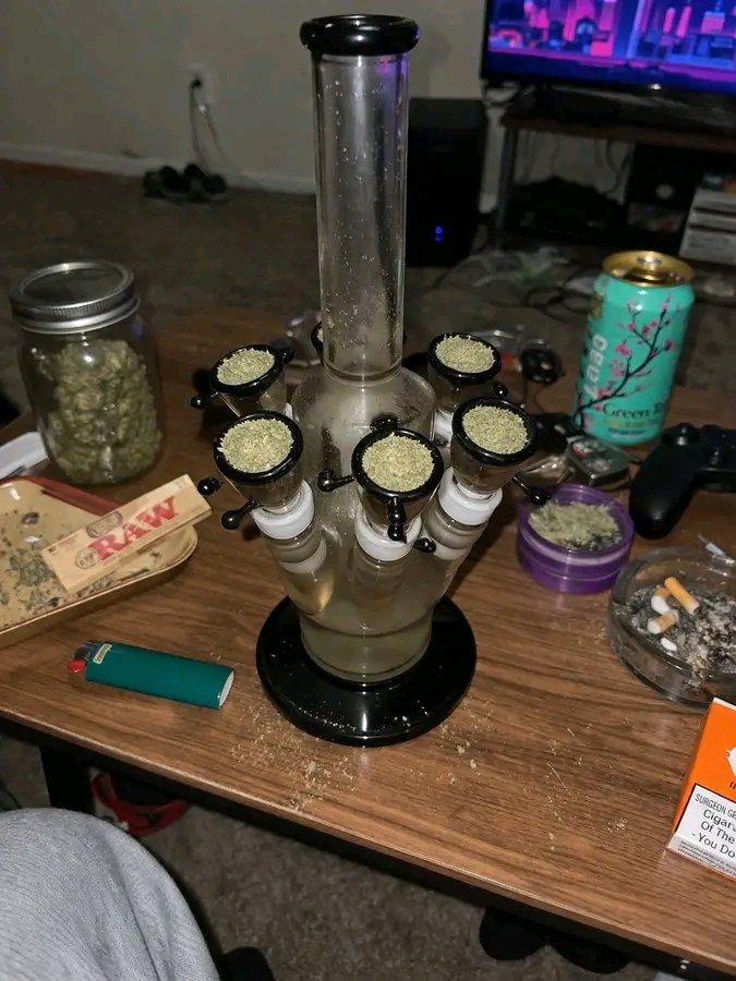 Collins23457's tweet photo. Don’t sleep on East TX drop! 🔥 Purple Haze & gas heavy in Tyler 903, Longview, Lufkin, Beaumont, Nacogdoches, Marshall, Palestine ⛽️ Bulk Purple Haze, discreet. DM "GAS TX" now 💨 #TXWeed #TexasWeed #TylerWeed #903Weed #PurpleHaze #PurpleHazeTX #TXPlug https://t.co/VSGGfHBv88
