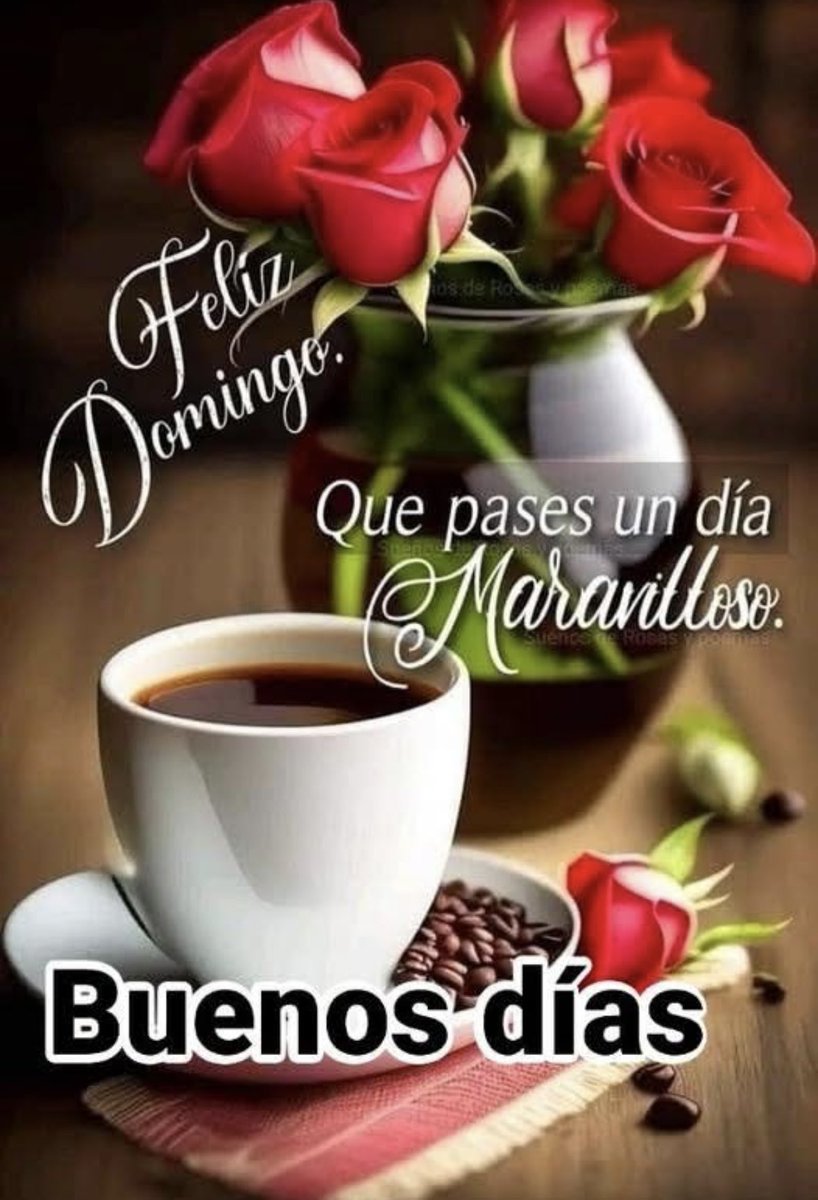 Ana Llanos tweet media