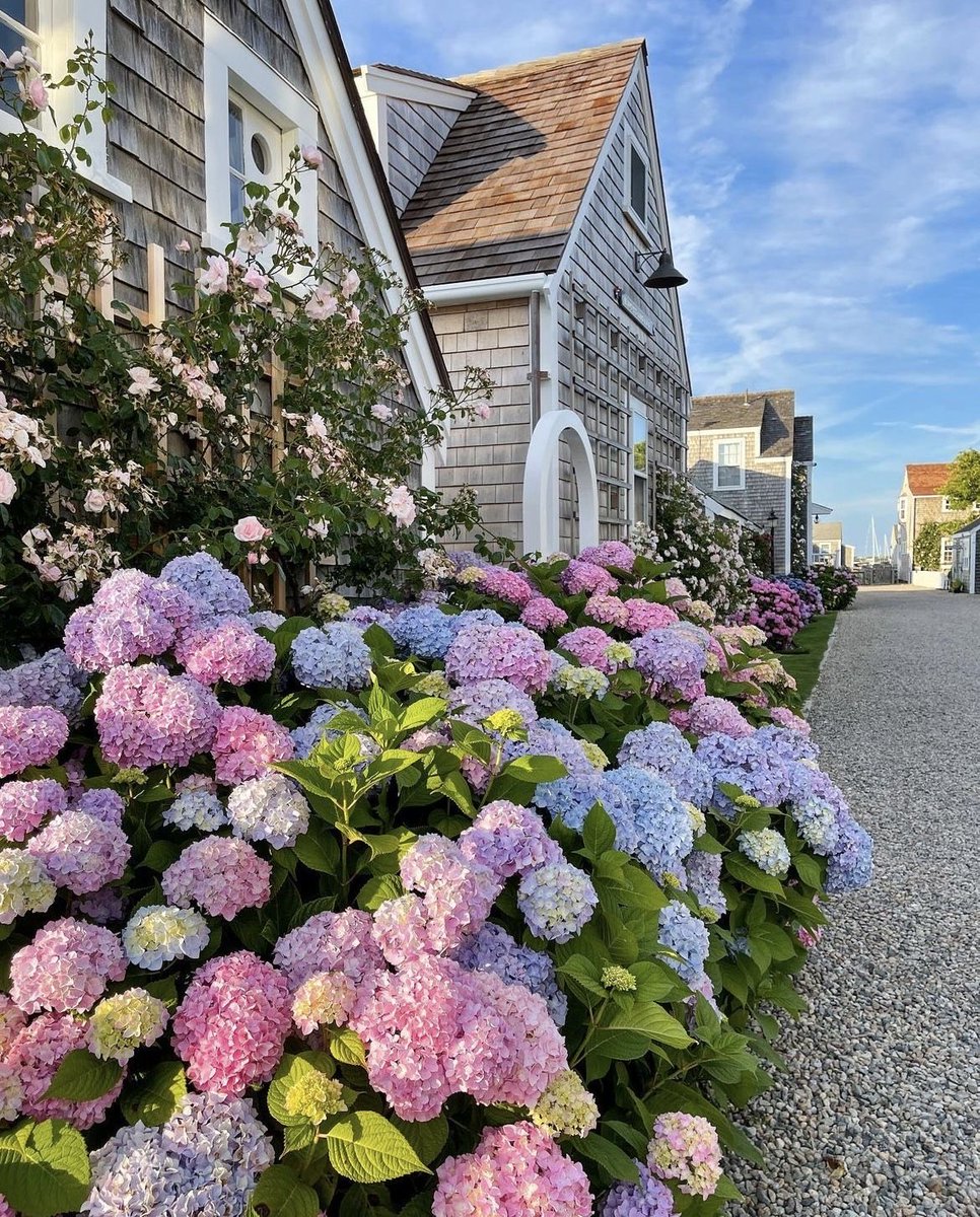 ☀️🌷Catholic Charm ✞ 🌷☀️ tweet media