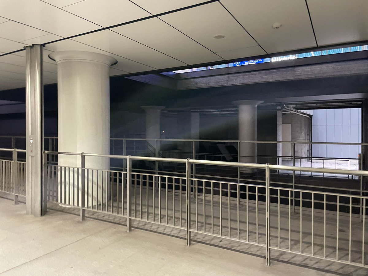 北瀬みくじ🐳⛩鯨類学VTuber tweet media