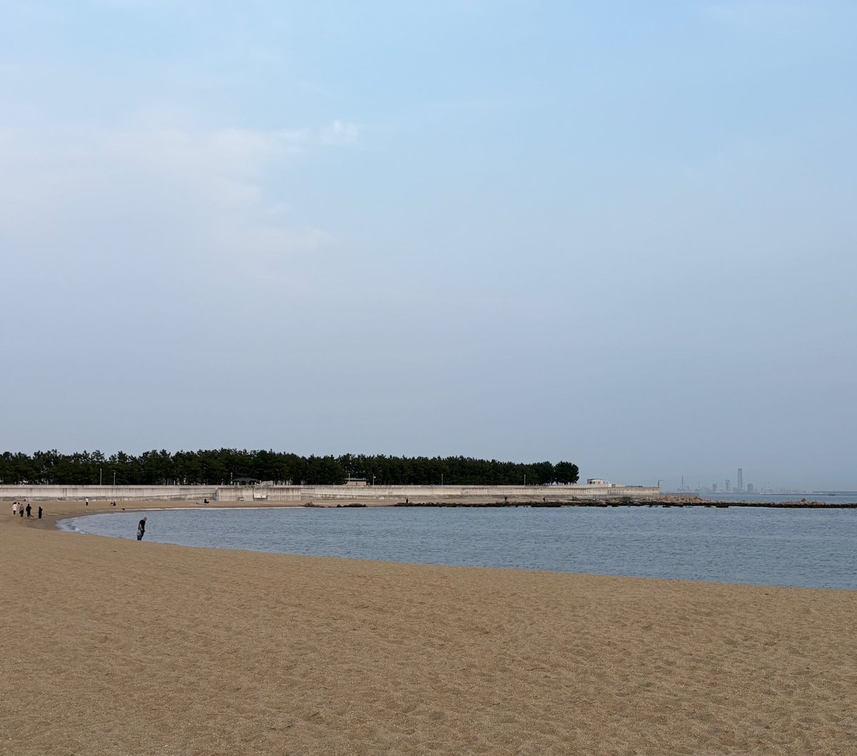 めろいがー tweet media