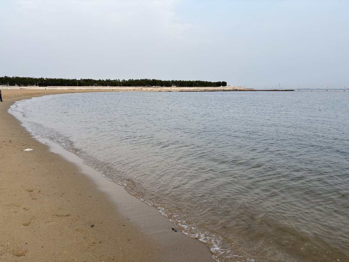 めろいがー tweet media