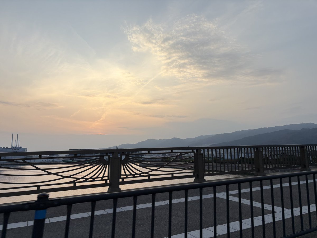 めろいがー tweet media